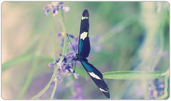 Blue Garden Butterfly Playmat - Jessica Torres - Mockup