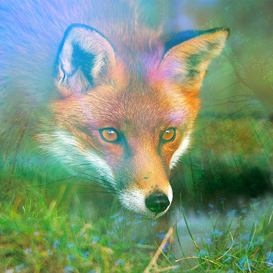 Art: Forest Fox