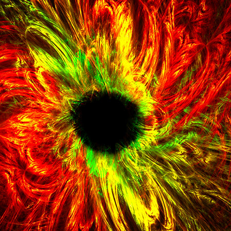 Art: End of Everything