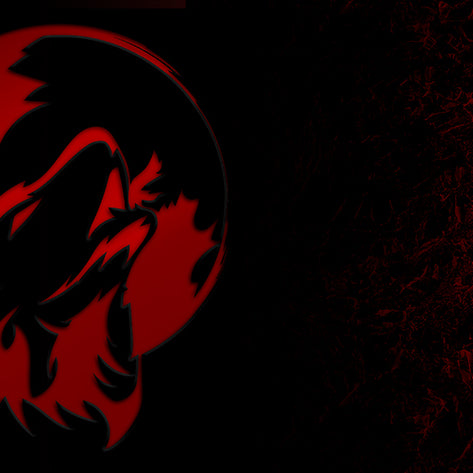 Art: Fluffy Wolf Rocky