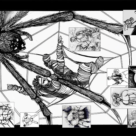 Art: Caught in the Web