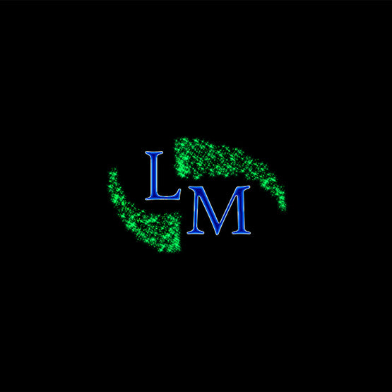 Art: LM Logo