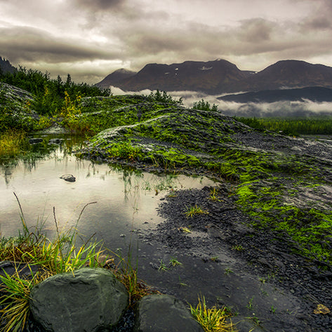 Art: Alaskan Outdoors