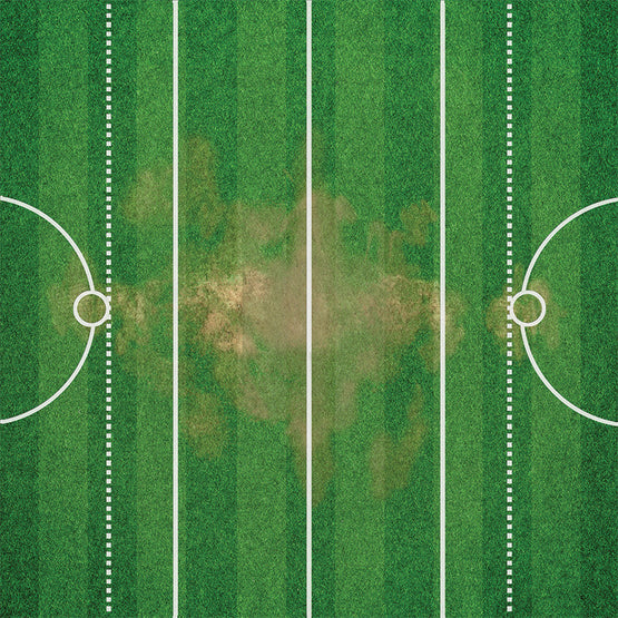 Art: Basic Grass Pitch