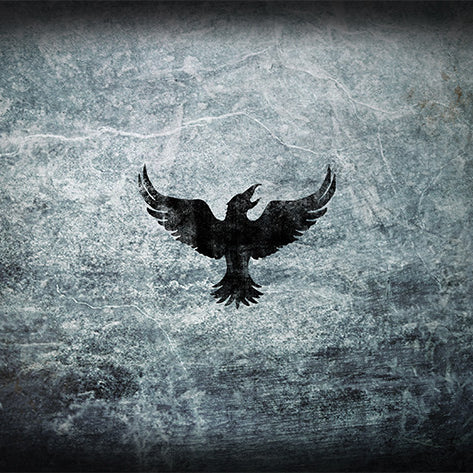 Art: Black Crow