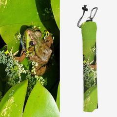 Bronze Arrow Frog Playmat Bag