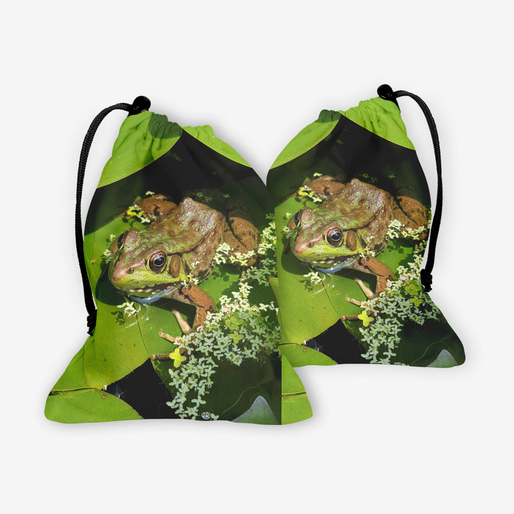 Bronze Arrow Frog Dice Bag