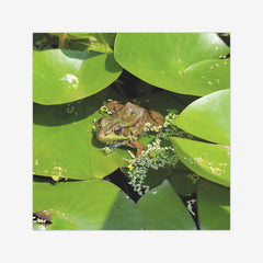 Bronze Arrow Frog Wargaming Mat