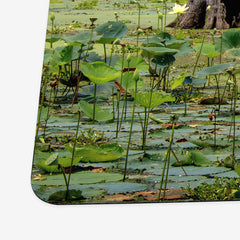 Brazos Bend Marsh Playmat