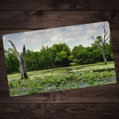 Brazos Bend Marsh Playmat
