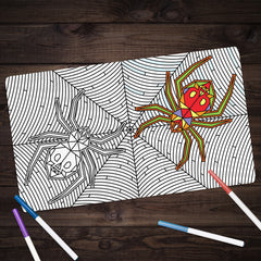 Colorbook Spiders Playmat
