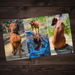 Rhodesian Ridgeback Lovers Playmat