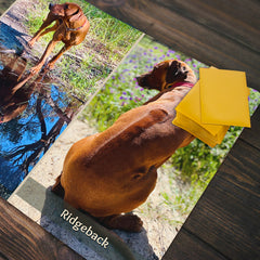 Rhodesian Ridgeback Lovers Playmat