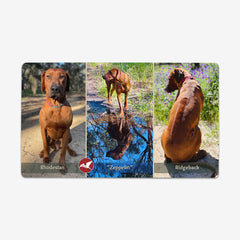 Rhodesian Ridgeback Lovers Playmat