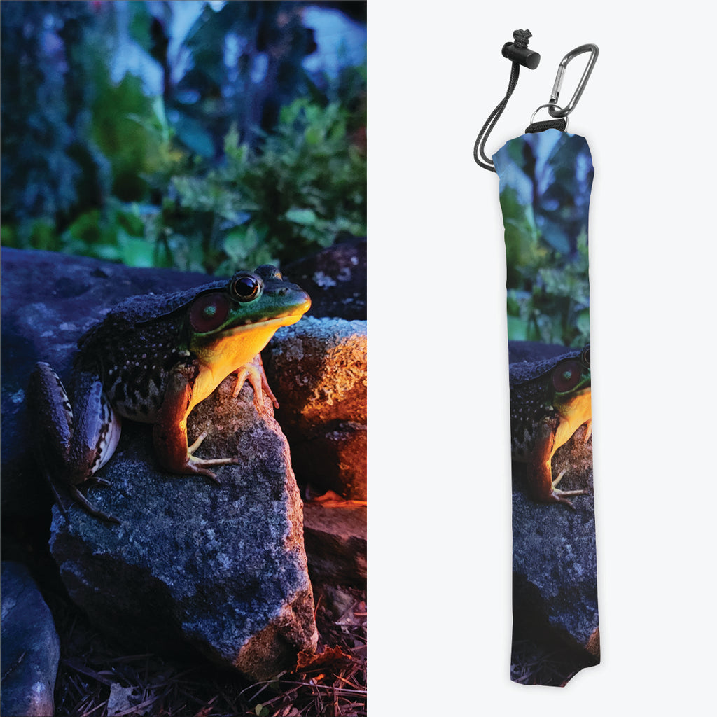 Lantern Lit Frog Playmat Bag