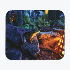 Lantern Lit Frog Mousepad