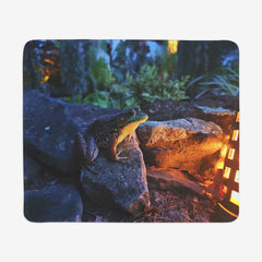 Lantern Lit Frog Mousepad