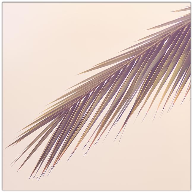 Palm Wargaming Mat - Jessica Torres - Mockup