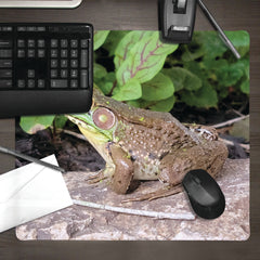 Frog Basking in Sunlight Mousepad