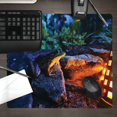 Lantern Lit Frog Mousepad