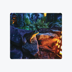 Lantern Lit Frog Mousepad