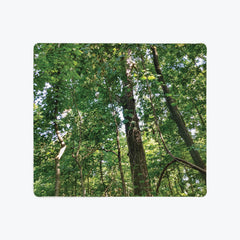 In The Summer Forest Mousepad