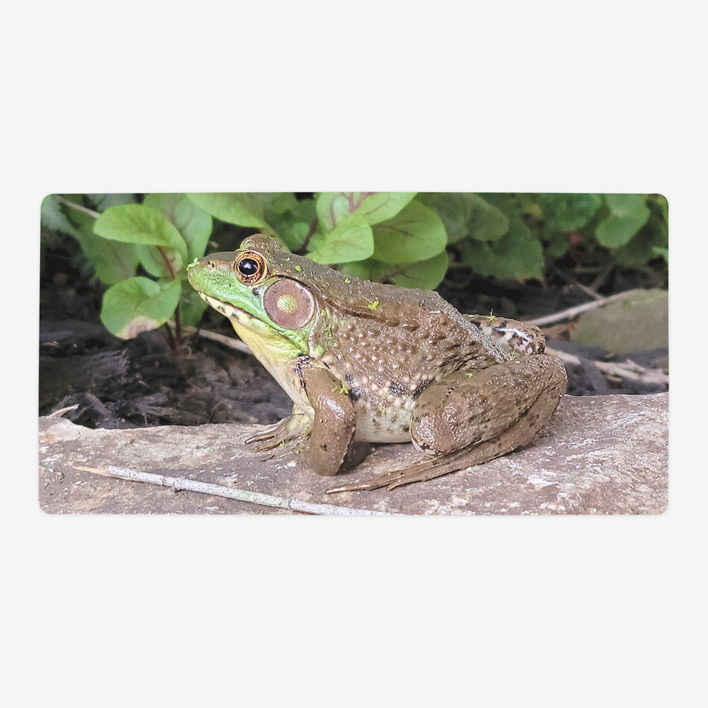 Frog Basking in Sunlight Oversized Playmat