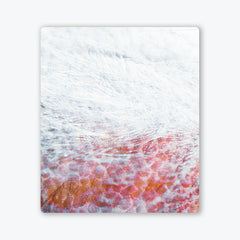 Pearl Feathers Two Player Mat