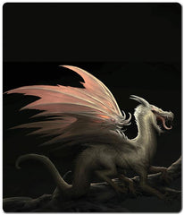 Yawning Dragon Two Player Mat