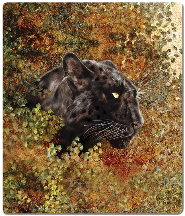 Thicket of Shadows Two Player Mat