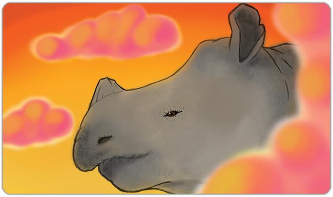 Rhino Sunset Playmat - Diddynarcon - Mockup