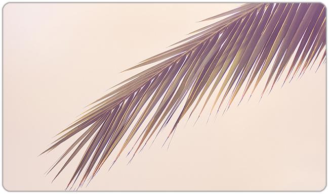 Palm Playmat - Jessica Torres - Mockup